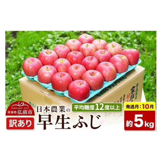 ふるさと納税 りんご 青森県 弘前市 26年10月発送 りんご 早生ふじ 訳あり 約5kg 平均糖度12度以上 青森 果物 フルーツ 林檎 リンゴ くだもの 不揃い 規格外 …