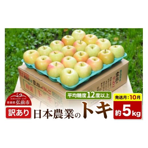 ふるさと納税 りんご 青森県 弘前市 26年10月発送 りんご トキ 訳あり 約5kg 平均糖度12度以上 青森県 弘前市 果物 フルーツ 林檎 リンゴ くだもの 不揃い 規…