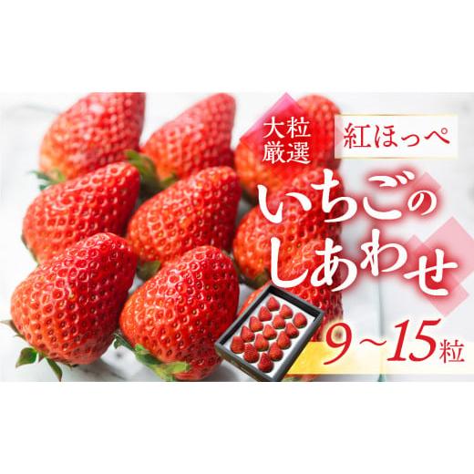 ふるさと納税 いちご 愛知県 田原市 先行予約 愛知県・田原産 ブランドいちご「いちごのしあわせ」約9粒〜15粒 お届け月指定なし / 苺 イチゴ フルーツ 果物…