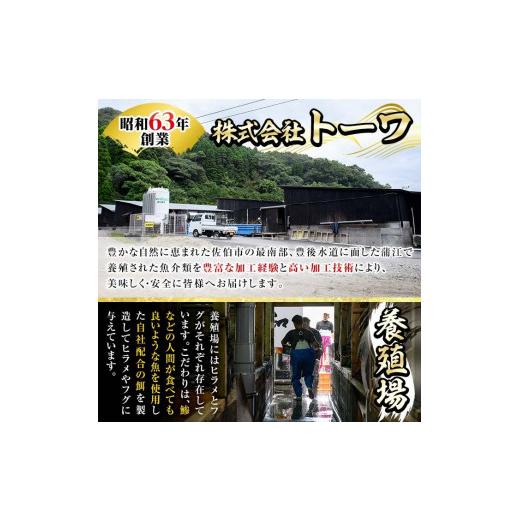 ふるさと納税 フグ 大分県 佐伯市  瞬間凍結 生簀直送 とらふぐ 刺身 セット (6-7人前) 魚 鮮魚 ふぐ 河豚 刺し身 刺身 さしみ ポン酢 もみじおろし 冷凍 佐伯…_2