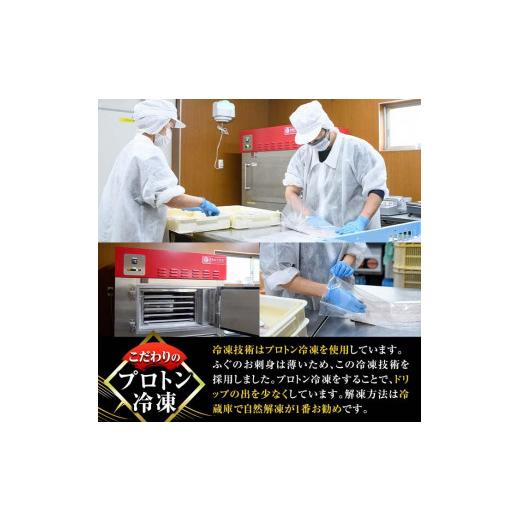 ふるさと納税 フグ 大分県 佐伯市  瞬間凍結 生簀直送 とらふぐ 刺身 セット (6-7人前) 魚 鮮魚 ふぐ 河豚 刺し身 刺身 さしみ ポン酢 もみじおろし 冷凍 佐伯…_4