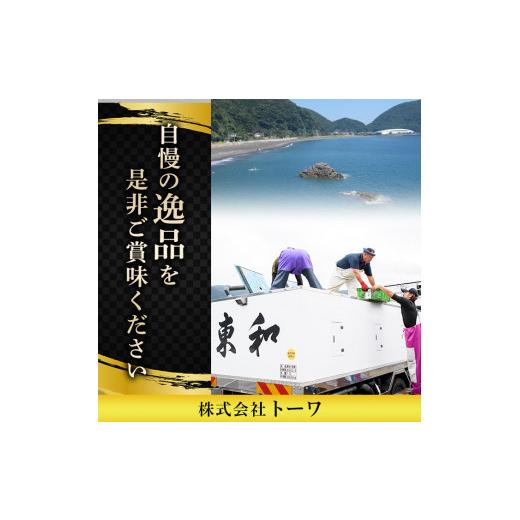 ふるさと納税 フグ 大分県 佐伯市  瞬間凍結 生簀直送 とらふぐ 刺身 セット (6-7人前) 魚 鮮魚 ふぐ 河豚 刺し身 刺身 さしみ ポン酢 もみじおろし 冷凍 佐伯…_6