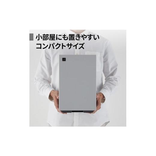 ふるさと納税 空調・季節家電 大阪府 八尾市 S110 SHARP 空気清浄機 FU-U40-H（グレー系） シャープ 電化製品 家電 生活家電 空気清浄 プラズマクラスター イ…の画像