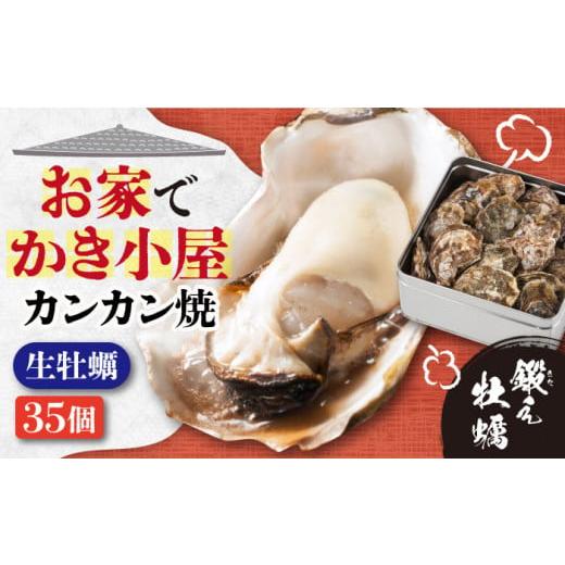 ふるさと納税 牡蠣 生牡蠣 広島県 江田島市 2月28日(土)着 テレビで話題 生牡蠣 着日指定可能 おうちで牡蠣小屋気分 甘み際立つカンカン焼き 牡蠣 35個 牡…