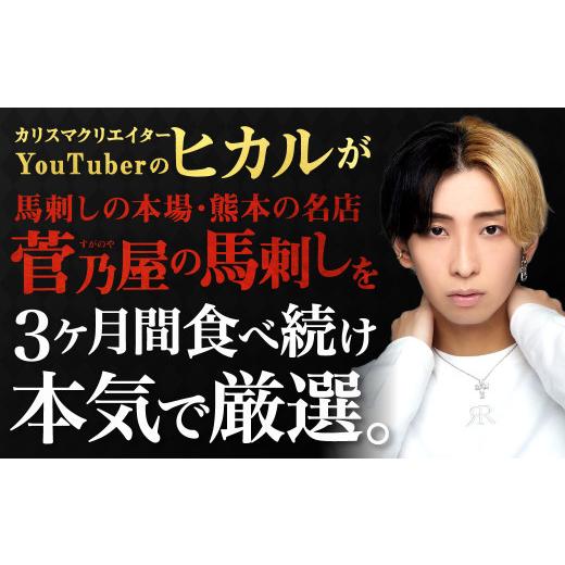 ふるさと納税 馬肉 熊本県 益城町 冗談抜きで旨い馬刺しセット 合計7〜8パック 馬刺し 赤身 馬肉 冷凍 専用たれ付き 熊本県産_2