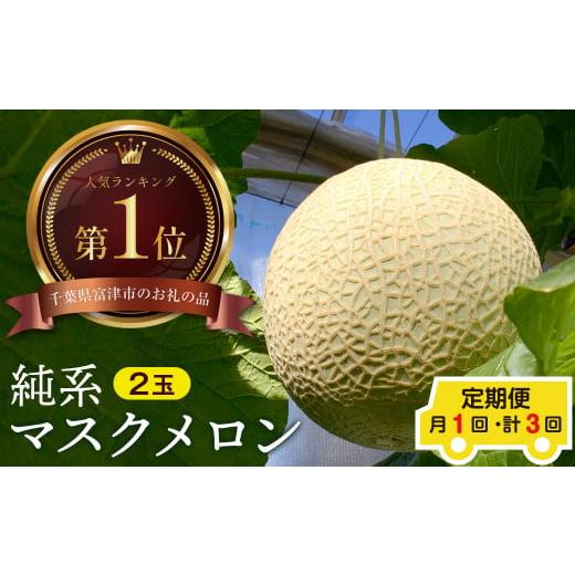 ふるさと納税 メロン メロン青肉 千葉県 富津市 定期便3ヶ月 純系マスクメロン2玉 最高級 :11〜1月発送分 11〜1月発送分