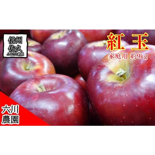 ふるさと納税 りんご 長野県 佐久市 長野県産 紅玉 りんご 家庭用 約9.0kg (36〜56玉)[2026年10月出荷分/北海道・沖縄県・離島は配送不可] 信州 果物 旬…