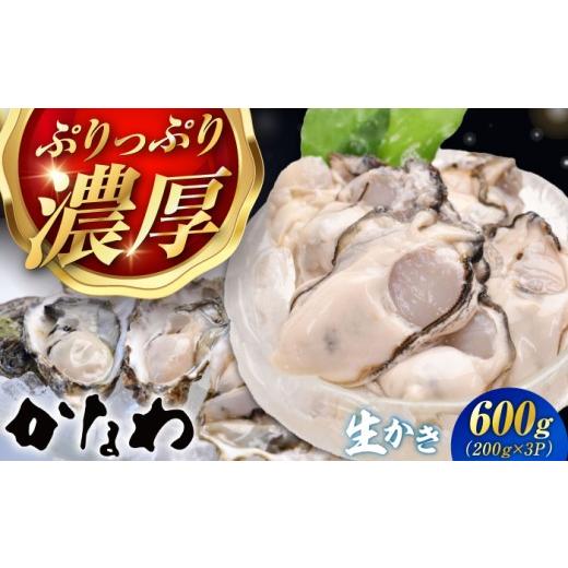 ふるさと納税 牡蠣 生牡蠣 広島県 江田島市  生牡蠣 かなわの生牡蠣 むき身200g×3パック 計600g 江田島市／株式会社かなわ XBP002 ｜生牡蠣 牡蠣 生食 むき身…_1
