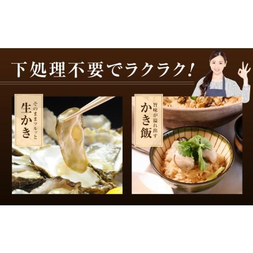 ふるさと納税 牡蠣 生牡蠣 広島県 江田島市  生牡蠣 かなわの生牡蠣 むき身200g×3パック 計600g 江田島市／株式会社かなわ XBP002 ｜生牡蠣 牡蠣 生食 むき身…_4