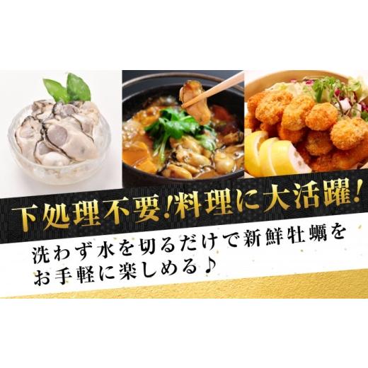 ふるさと納税 牡蠣 生牡蠣 広島県 江田島市  生牡蠣 かなわの生牡蠣 プレミアム瓶入り むき身 200g×4本 計800g 江田島市／株式会社かなわ XBP007 ｜生牡蠣 牡…_3