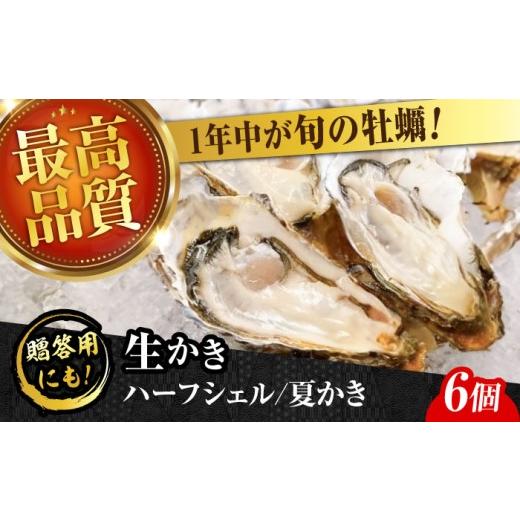 ふるさと納税 牡蠣 生牡蠣 広島県 江田島市 生牡蠣 かなわのハーフシェル『夏かき』6個入り 江田島市/株式会社かなわ XBP011 |生牡蠣 牡蠣 生食 殻付き 殻…