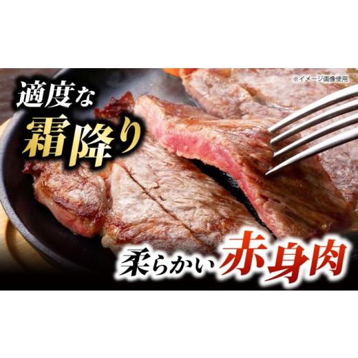 ふるさと納税 馬肉 熊本県 山鹿市  6回定期便 くまもとあか牛 サーロイン ステーキ ブロック肉 約1kg 有限会社スイートサプライなかぞの ZBV061の画像