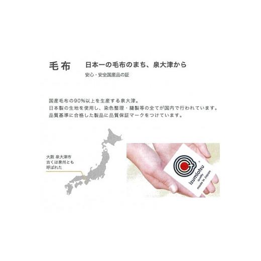 ふるさと納税 タオル・寝具 毛布 大阪府 泉大津市  ブラウン ROMANCE ピンパーネル ノルディック柄 マイヤー毛布 シングル 28305415 ブラウンの画像
