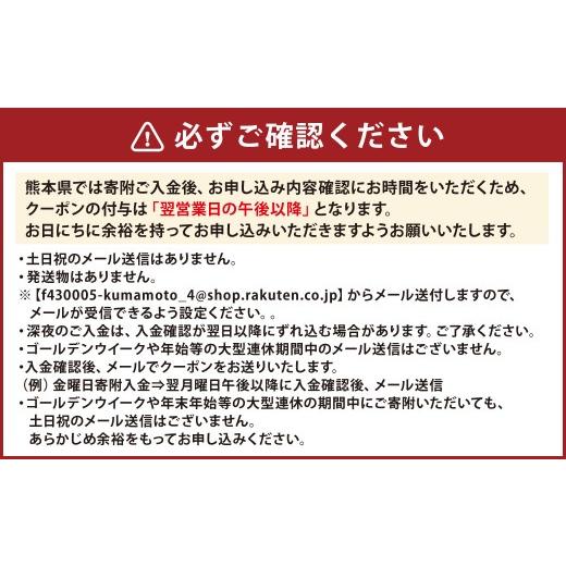 ふるさと納税 パッケージ旅行 熊本県 -  熊本県 JTB ふるさと 旅行 クーポン（Eメール発行） 3,000円分_2