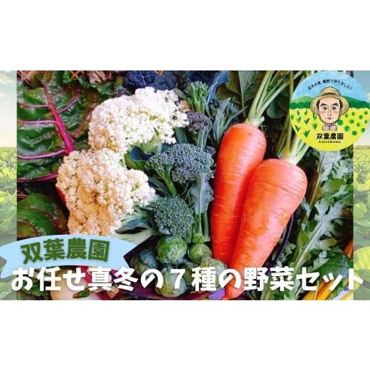 ふるさと納税 セット・詰合せ 神奈川県 秦野市 双葉農園 の"イチオシ"真冬の7種の野菜セット (旬 野菜 とれたて当日 直送 お届け 詰め合わせ 新鮮 鍋 冬野…