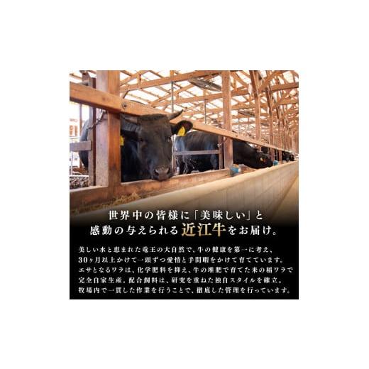 ふるさと納税 牛肉 ハンバーグ 滋賀県 竜王町  定期便 近江牛 食べ比べ 全10回 ( すき焼き しゃぶしゃぶ ステーキ ハンバーグ 近江牛 ブランド牛 近江牛 牛肉 …_9