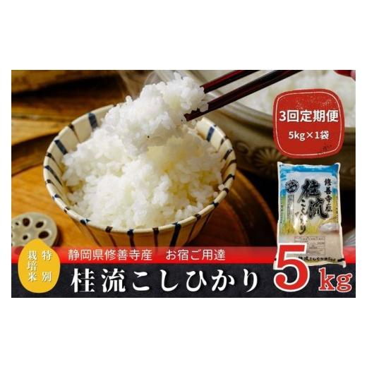 ふるさと納税 米 コシヒカリ 静岡県 伊豆市 定期便 全3回 修善寺桂流こしひかり5kg コシヒカリ 白米 お米 精米 国産 米 ごはん 特別栽培米 お取り寄せ 静…
