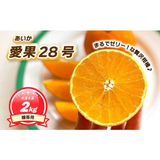 ふるさと納税 果物類 愛媛県 松山市 11月下旬~1月上旬頃発送予定 贈答用 愛果28号 2kg 大玉6玉入り | あいか ご家庭用 みかん 数量限定 みかん 愛媛県産 みか…