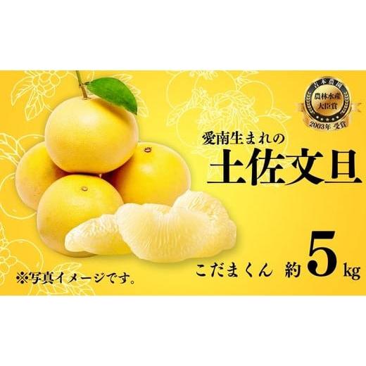 ふるさと納税 みかん・柑橘類 愛媛県 愛南町 先行予約 訳あり 土佐文旦 こだまくん 5kg 発送:3月上旬〜なくなり次第 文旦 柑橘 みかん 規格外 小玉 少量 大容…