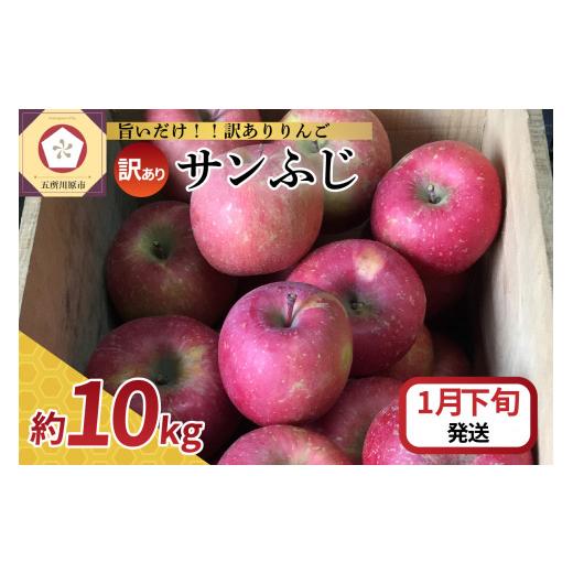 ふるさと納税 りんご 青森県 五所川原市 ふるさとチョイス限定 2026年1月下旬発送 訳あり りんご サンふじ 10kg 青森 1月下旬発送(21日〜末日)