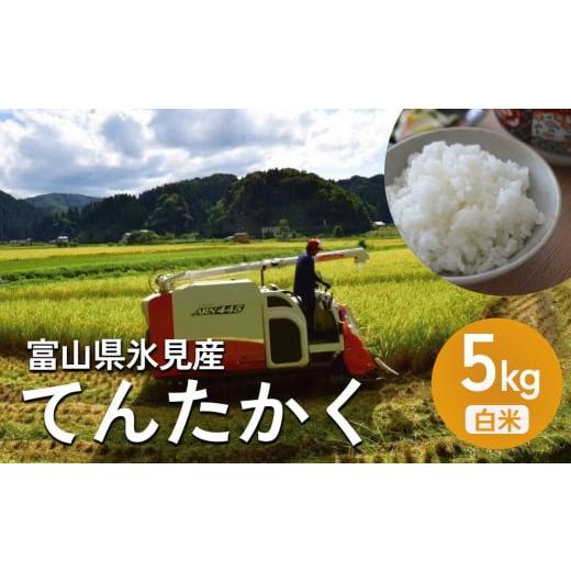 ふるさと納税 米 富山県 氷見市 令和7年産 富山県氷見産 てんたかく 5kg 白米 | お米 選べる 精米 富山 氷見 米 さっぱり 数量限定 農家直送 てんたかく5kg白…
