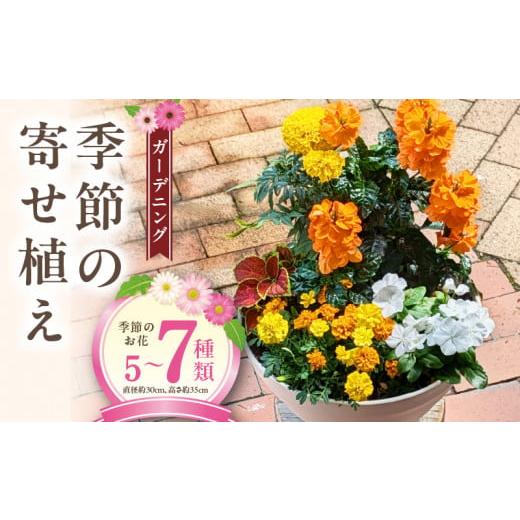 ふるさと納税 雑貨・日用品 花 愛知県 小牧市 ガーデニング　季節の寄せ植え_1