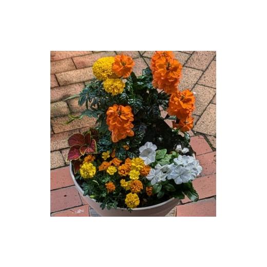 ふるさと納税 雑貨・日用品 花 愛知県 小牧市 ガーデニング　季節の寄せ植え_2