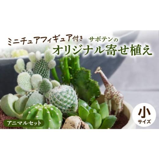 ふるさと納税 花・苗木 愛知県 小牧市 サボテンのオリジナル寄せ植え(小) アニマルセット アニマルセット