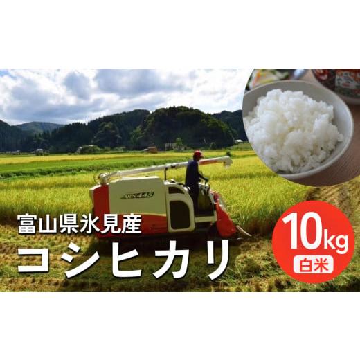 ふるさと納税 米 コシヒカリ 富山県 氷見市 先行予約 令和7年産 富山県氷見産 コシヒカリ 10kg 白米 2025年10月中旬以降順次発送 | お米 選べる 精米 分づき…