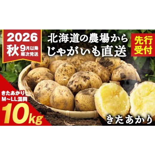 ふるさと納税 野菜類 じゃがいも 北海道 積丹町  2026年 秋 発送 じゃがいも 10kg 北海道 きたあかり ジャガイモ 芋 いも