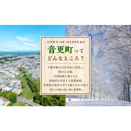 ふるさと納税 加工品等 納豆 北海道 音更町 ゆきしずか納豆 36食（3段×12個セット） A83 なっとう 大豆 朝食の画像