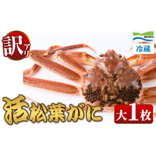 ふるさと納税 カニ 松葉ガニ 鳥取県 境港市 11月中旬〜2月下旬配送予定 訳あり・足欠け 鳥取県産活松葉がに(大1枚) sm-AM009 モリイ食品 大1枚