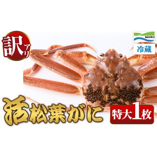 ふるさと納税 カニ 松葉ガニ 鳥取県 境港市 11月中旬〜2月下旬配送予定 訳あり・足欠け 鳥取県産活松葉がに(特大1枚) sm-AM013 モリイ食品 特大1枚