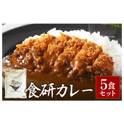ふるさと納税 加工品等 レトルト 愛媛県 今治市 食研カレー200g×5袋 今治 いまばり 愛媛 えひめ ご当地 5袋 レトルト セット レトルトカレー 常温 家庭…