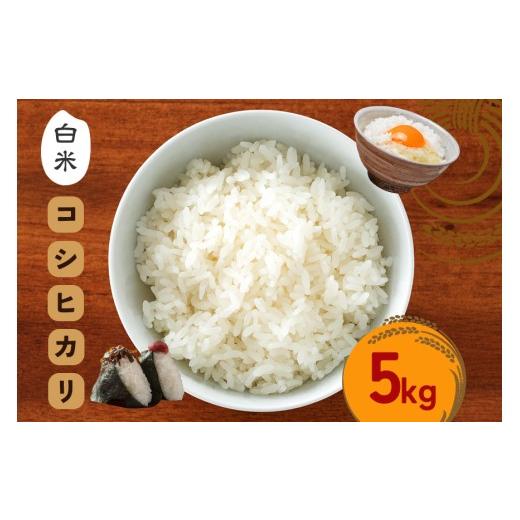 ふるさと納税 米 コシヒカリ 茨城県 笠間市 令和7年度 笠間産 コシヒカリ 5kg 精米 米 白米 こめ コメ ご飯 ごはん 農家直送 産地直送 国産 茨城県 笠間市 青…