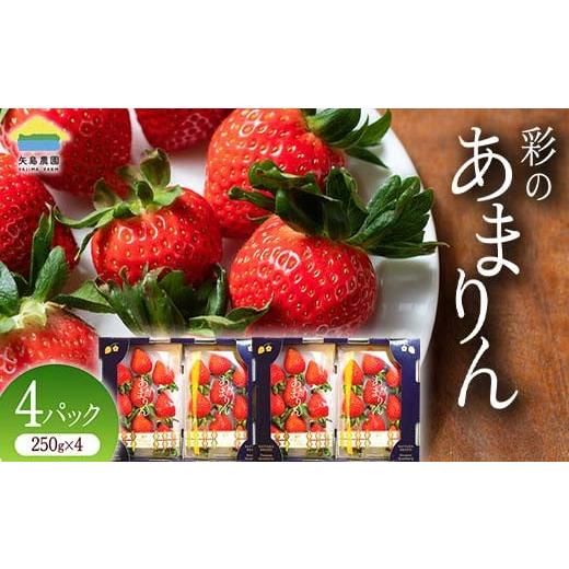 ふるさと納税 いちご 埼玉県 本庄市 先行予約 3月発送 埼玉県本庄市産 いちご 彩のあまりん 250g×4パック 2026年3月上旬から順次発送 苺 いちご イチゴ スト…