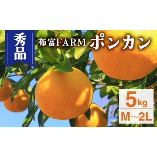 ふるさと納税 みかん・柑橘類 高知県 東洋町 NT2-7-01 先行予約 kg数が選べる 秀品ポンカンM〜2L 5kg 秀品ポンカンM〜2L 5kg