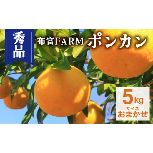 ふるさと納税 みかん・柑橘類 高知県 東洋町 NT2-7-05 先行予約 kg数が選べる 秀品ポンカン おまかせ 5kg おまかせ 5kg