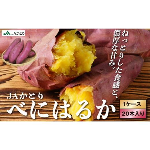 ふるさと納税 野菜類 サツマイモ 千葉県 神崎町 千葉県神崎町 JAかとり産 さつまいも 紅はるか Mサイズ20本入り 甘み濃厚 しっとり食感 焼き芋・干し芋に[先…