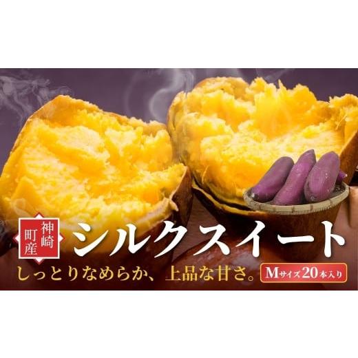 ふるさと納税 野菜類 サツマイモ 千葉県 神崎町 千葉県神崎町 JAかとり産 さつまいも シルクスイート Mサイズ20本入り なめらか食感 上品な甘さ 焼き芋・干し…