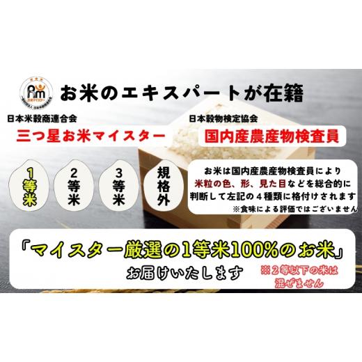 ふるさと納税 米 ひとめぼれ 岩手県 盛岡市 ひとめぼれ 令和7年産 盛岡市産 5kg×2 定期便 2ヵ月 新鮮 発送日精米 1等米のみを使用したお米マイスター監修の米…の画像