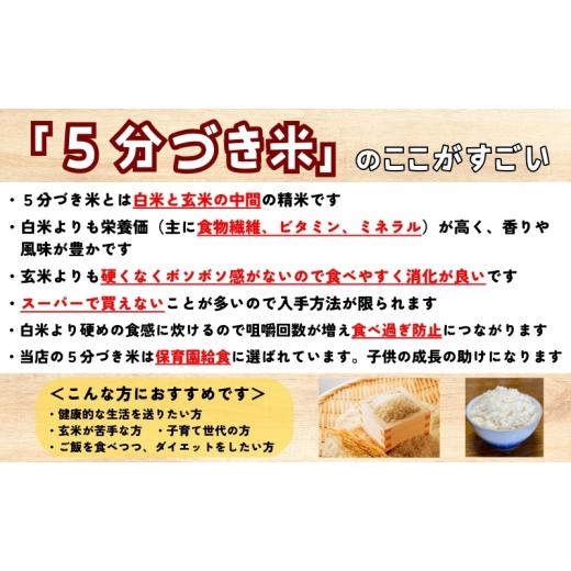 ふるさと納税 米 ひとめぼれ 岩手県 盛岡市 銀河のしずく 5分づき精米 令和7年産 盛岡市産 5kg×2 定期便 2ヵ月 特A 7年連続獲得中 美味しさ 新鮮 発送日精米 …の画像