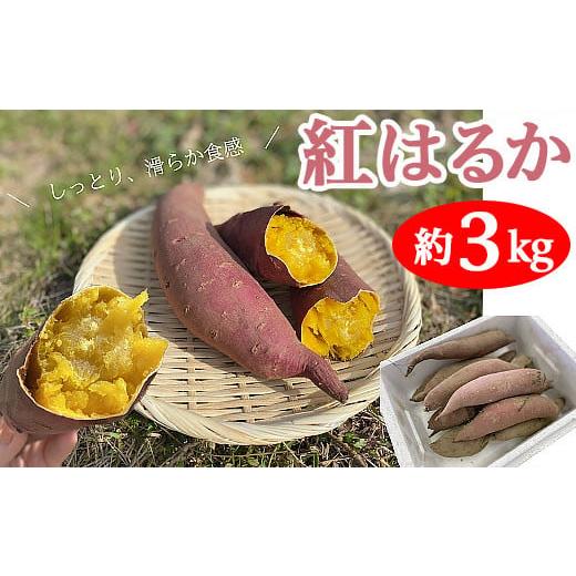 ふるさと納税 野菜類 サツマイモ 新潟県 聖籠町 新潟県産さつまいも(紅はるか)約3kg 丸茂農園