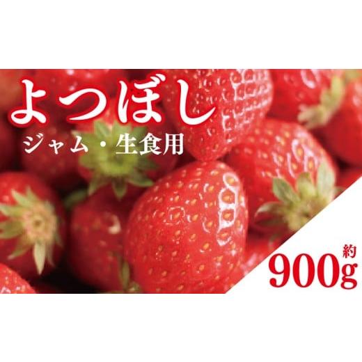 ふるさと納税 いちご 徳島県 阿波市 先行予約 訳あり いちご よつぼし 900g ジャム用 加工用 果物 フルーツ 苺 ストロベリー ケーキ アイス シャーベット ジェ…