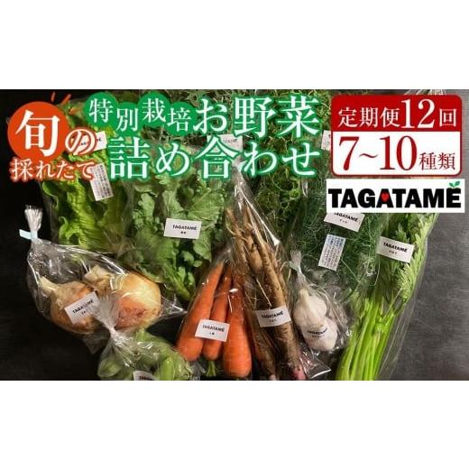 ふるさと納税 セット・詰合せ 香川県 さぬき市  定期便全12回 旬の採れたて 7〜10種類お野菜詰め合わせセット(1〜2名様) TAGATAME タガタメ 野菜 特別栽培 有…の画像