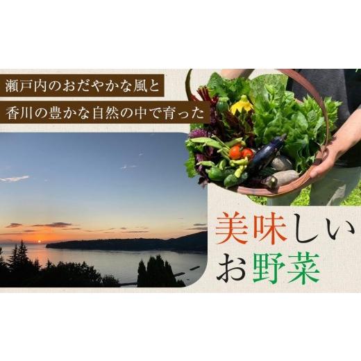 ふるさと納税 セット・詰合せ 香川県 さぬき市  定期便全12回 旬の採れたて 7〜10種類お野菜詰め合わせセット(1〜2名様) TAGATAME タガタメ 野菜 特別栽培 有…の画像
