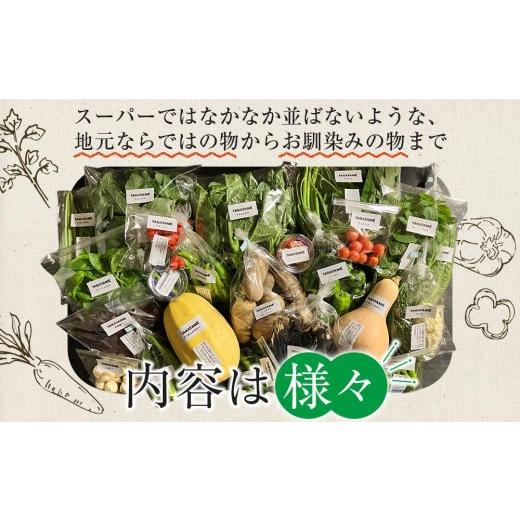 ふるさと納税 セット・詰合せ 香川県 さぬき市  定期便全12回 旬の採れたて 7〜10種類お野菜詰め合わせセット(1〜2名様) TAGATAME タガタメ 野菜 特別栽培 有…の画像