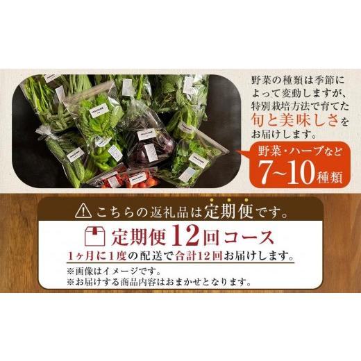 ふるさと納税 セット・詰合せ 香川県 さぬき市  定期便全12回 旬の採れたて 7〜10種類お野菜詰め合わせセット(1〜2名様) TAGATAME タガタメ 野菜 特別栽培 有…の画像