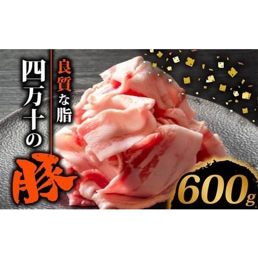 ふるさと納税 豚肉 バラ 高知県 須崎市 四万十ポークスライス600g | 300g × 2パック セット 豚肉 豚バラ肉 小分け 小間切れ スライス 切り落とし 冷凍 真空パ…