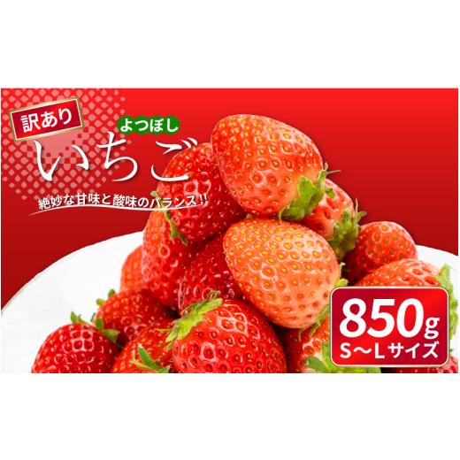 ふるさと納税 いちご 徳島県 阿波市 先行予約 訳あり いちご よつぼし 850g 果物 フルーツ 苺 ストロベリー ケーキ アイス シャーベット ジェラート ゼリー ジ…